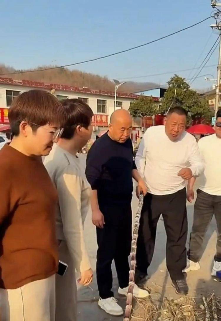 于东来退休后在家卖甘蔗？辟谣：实为途经南阳时买甘蔗:上海沁豪家纺有限公司多少钱
